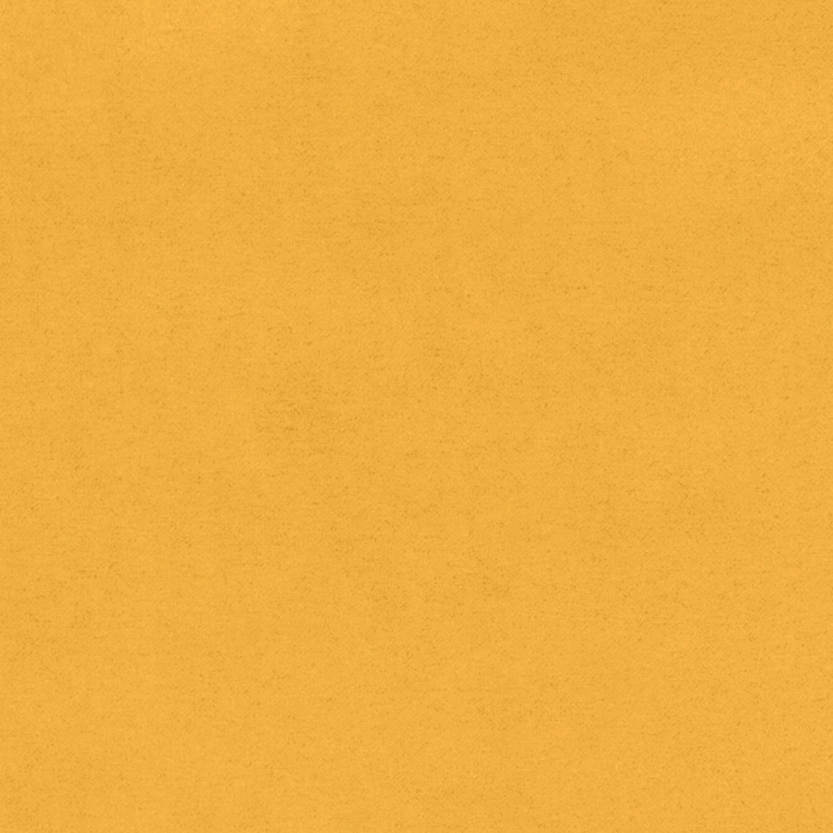 1170091952