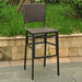 International Caravan Resin Wicker Bar-height Barstool (Set of 2)