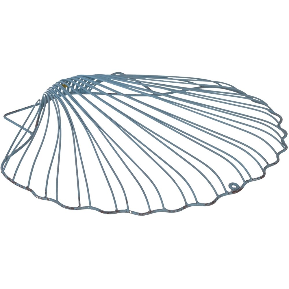 Iron Shell Wall Art