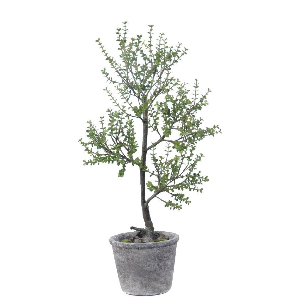 Golden Eagle Jade and Artifical Potted Plant Arrangement