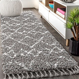 JONATHAN Y Modern Shag Plush Tassel Moroccan Tribal Geometric Trellis Area Rug