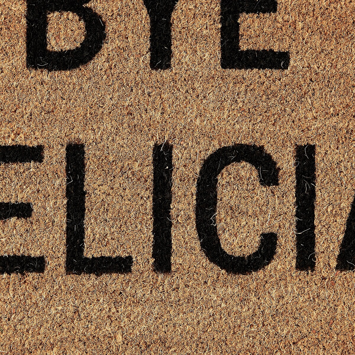 J&M Bye Felicia Vinyl Back Coir Doormat 18x30 - 18x30"