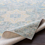 Janson Vintage Medallion Blue Area Rug - 3' x 5'