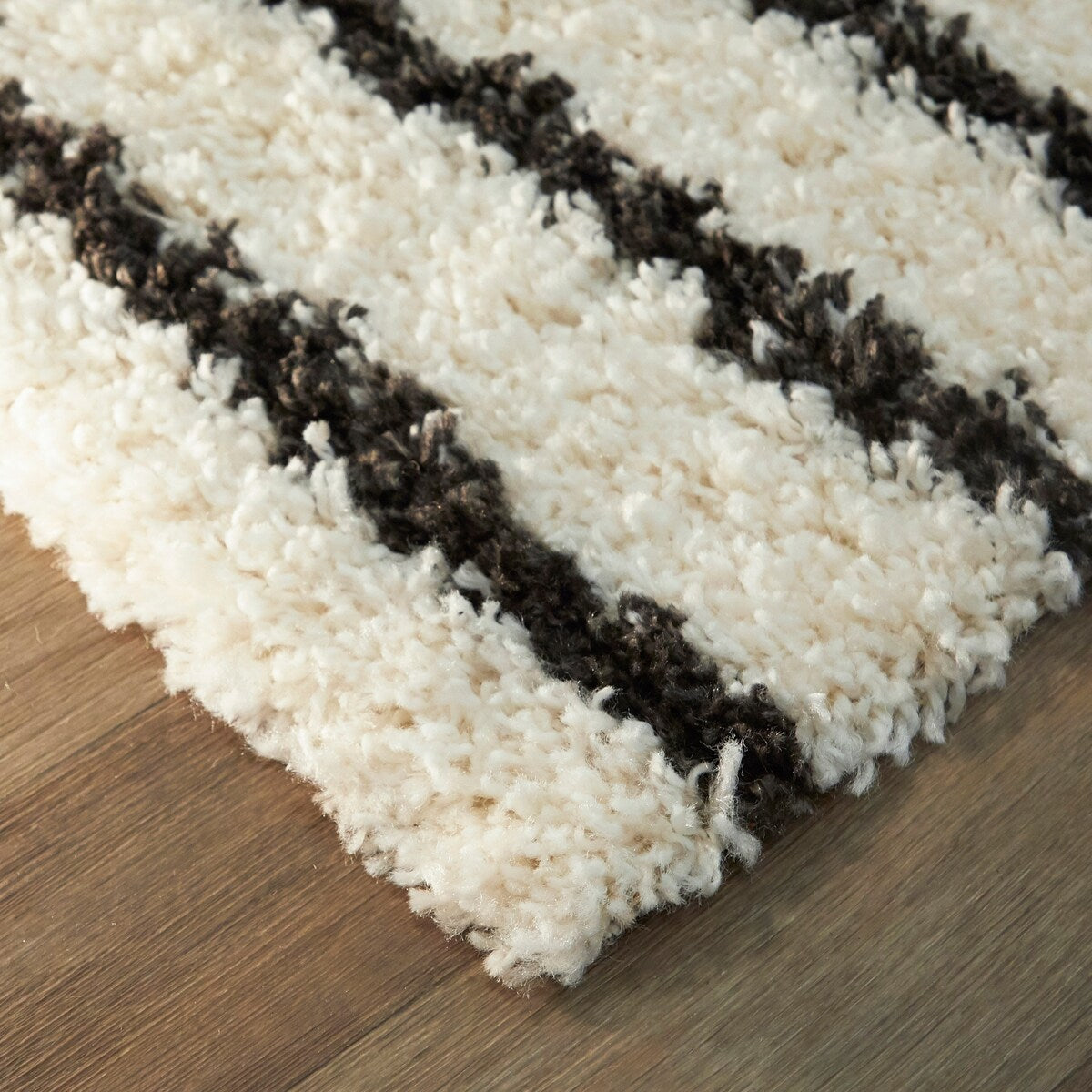 Janus Contemporary Berber Shag Area Rug