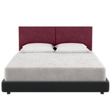 Jaxx Panelist Padded Headboard - Set of 2 Wall Panels