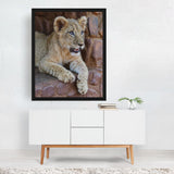 Johannesburg Gauteng South Africa Lion Cub II Cat Art Print/Poster
