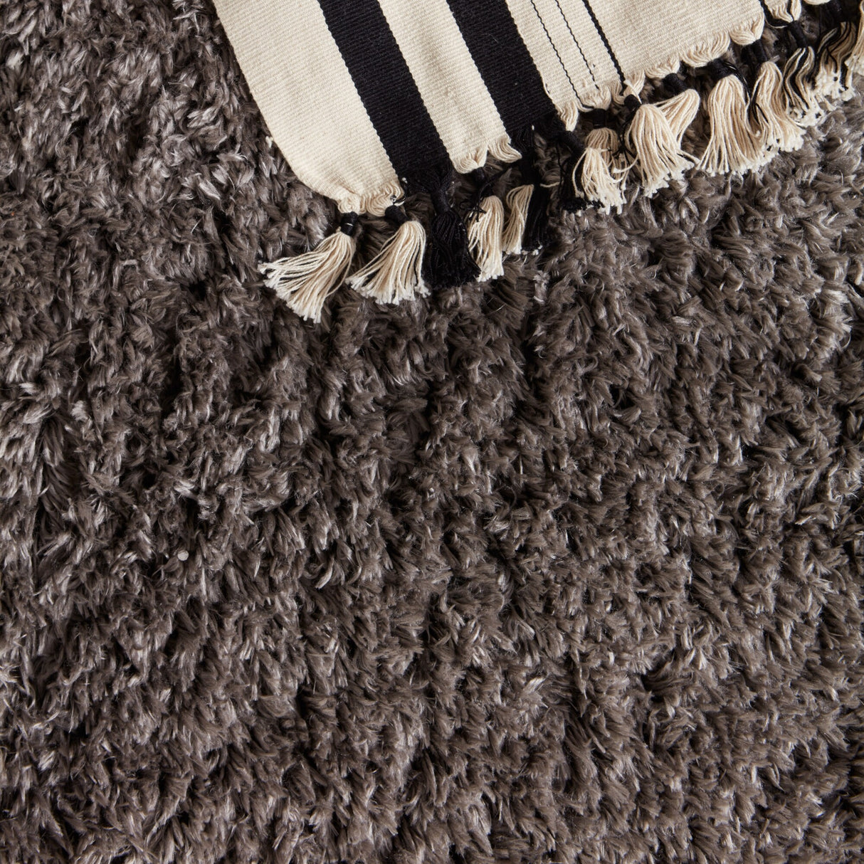Jola Ombre Gray/ Cream Area Rug