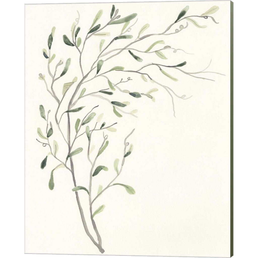 June Erica Vess 'Spindle Sprig' Canvas Art, Set of 3