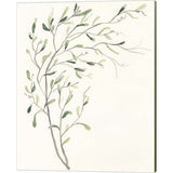 June Erica Vess 'Spindle Sprig' Canvas Art, Set of 3