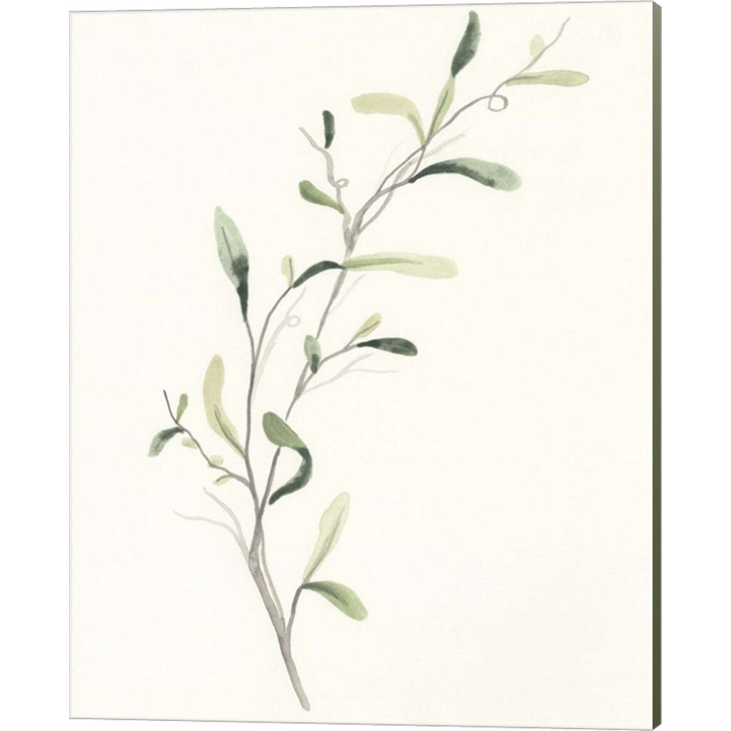 June Erica Vess 'Spindle Sprig' Canvas Art, Set of 3