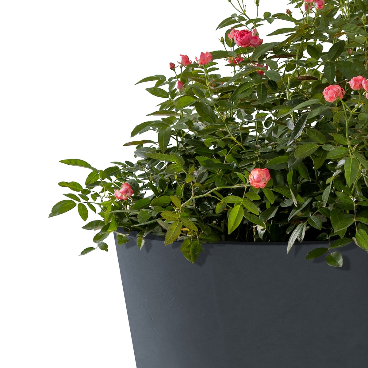 Kante 20.9", 17.7", 15" and 12.6"H Cylindrical Lightweight Concrete Modern Planters (Set of 4)