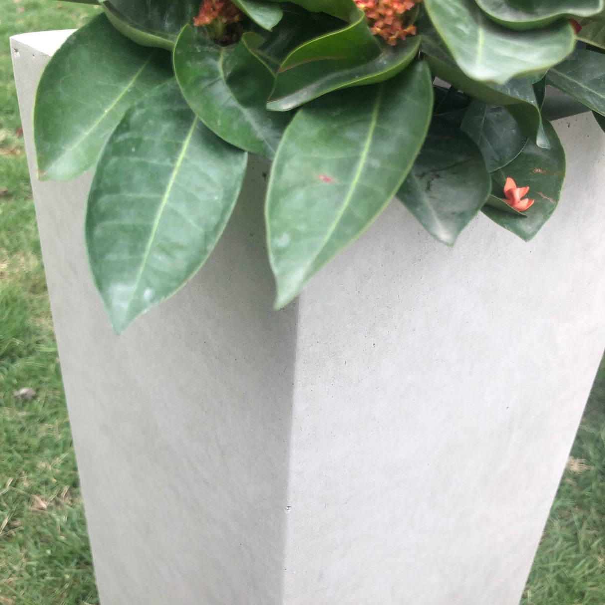 28"L Square Weathered Concrete/Fiberglass Indoor Outdoor Modern Tall Planter - 14"W x 14"L x 28"H