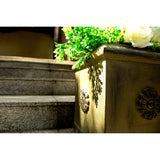 Kante Lightweight Classic Square Chrysanthemum Planter, 11.8 Inch Tall, Vintage Limestone