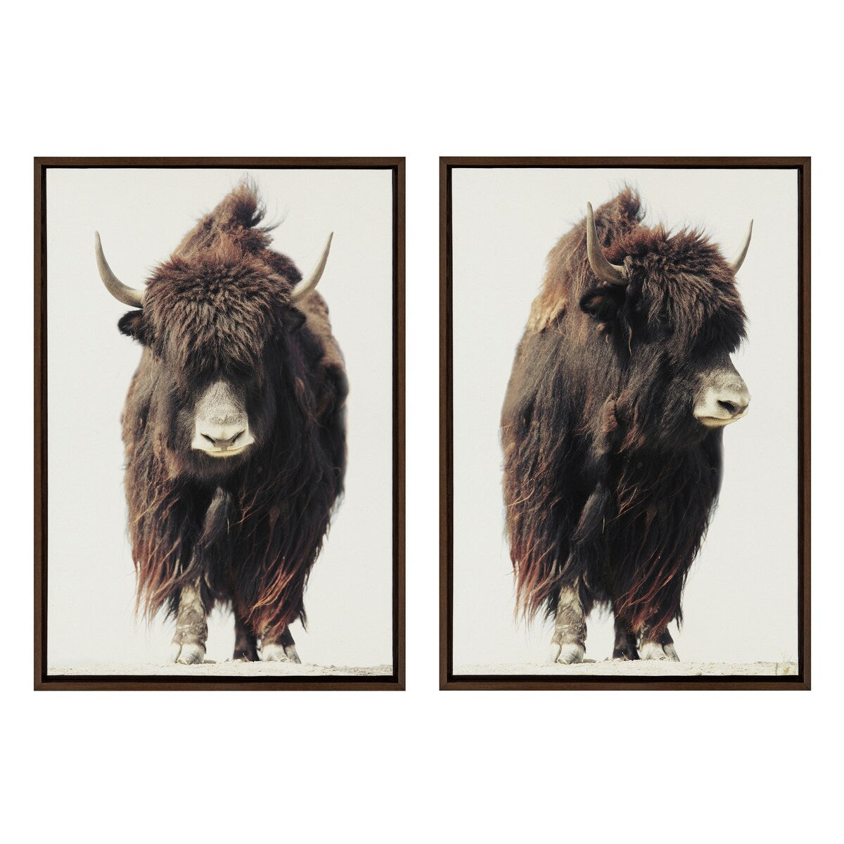 Kate and Laurel Sylvie Beast Framed Canvas by Saint and Sailor Studios