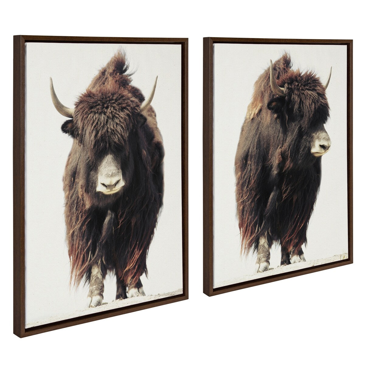 Kate and Laurel Sylvie Beast Framed Canvas by Saint and Sailor Studios