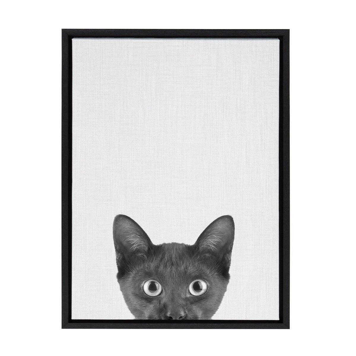Kate and Laurel Sylvie Black Kitten Framed Canvas by Simon Te of Tai Prints