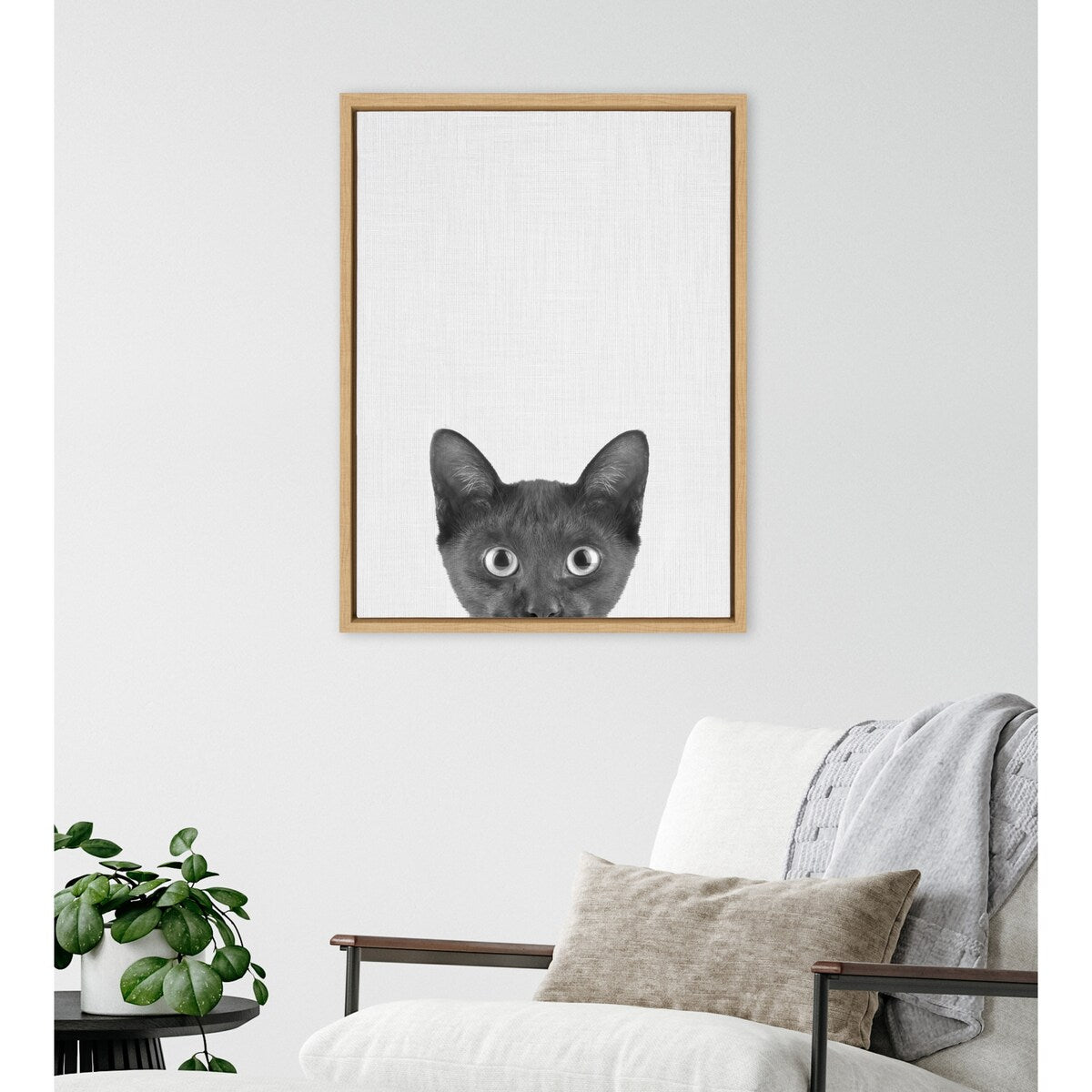 Kate and Laurel Sylvie Black Kitten Framed Canvas by Simon Te of Tai Prints