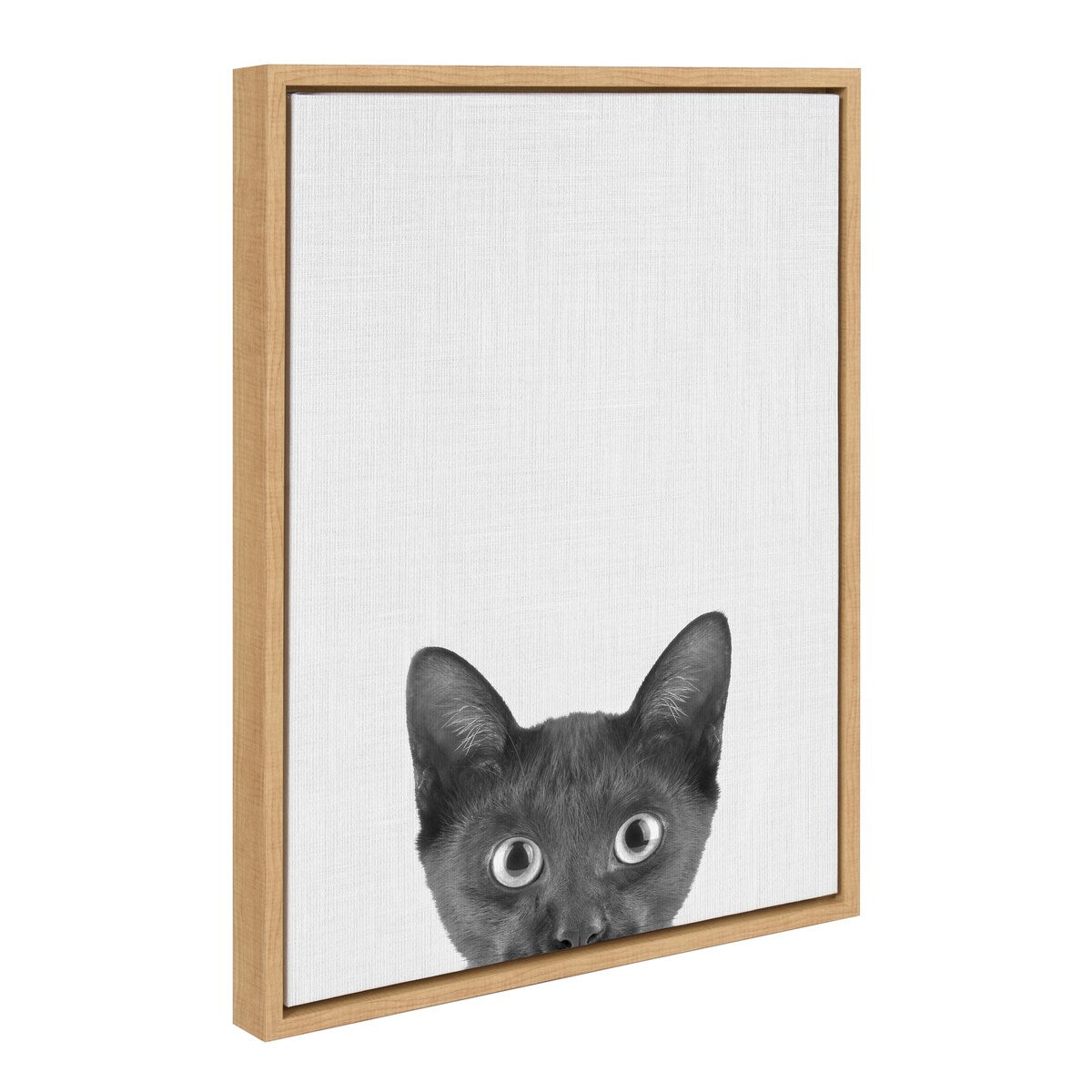 Kate and Laurel Sylvie Black Kitten Framed Canvas by Simon Te of Tai Prints