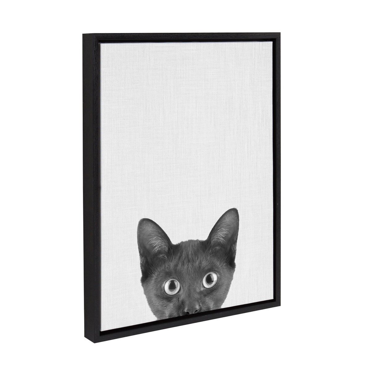 Kate and Laurel Sylvie Black Kitten Framed Canvas by Simon Te of Tai Prints