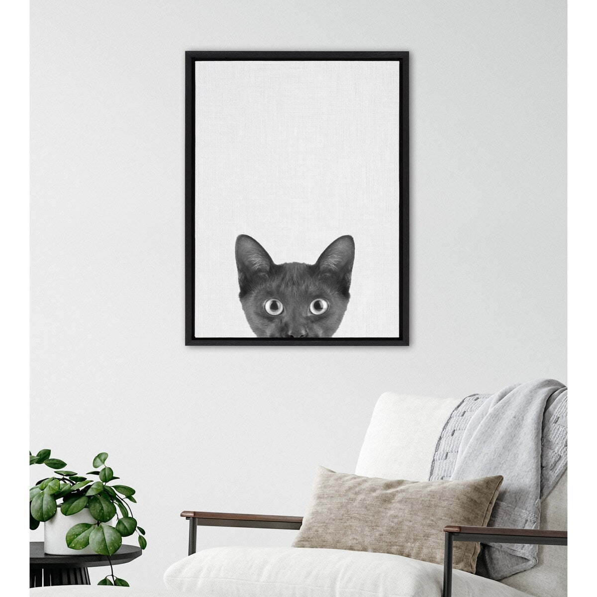 Kate and Laurel Sylvie Black Kitten Framed Canvas by Simon Te of Tai Prints