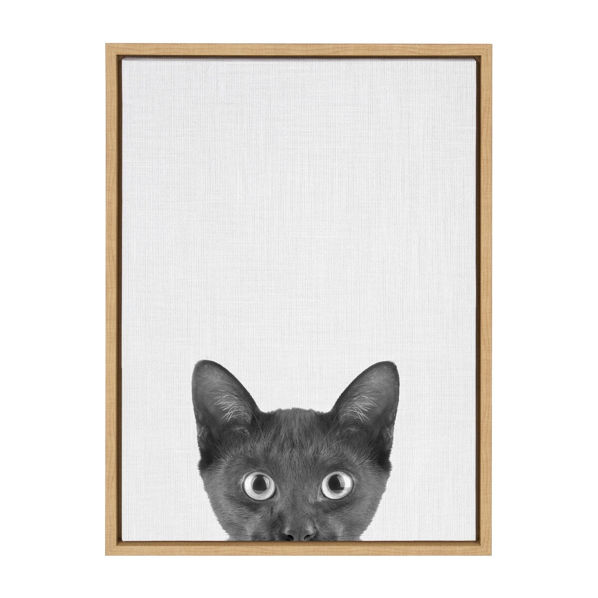 Kate and Laurel Sylvie Black Kitten Framed Canvas by Simon Te of Tai Prints