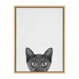 Kate and Laurel Sylvie Black Kitten Framed Canvas by Simon Te of Tai Prints