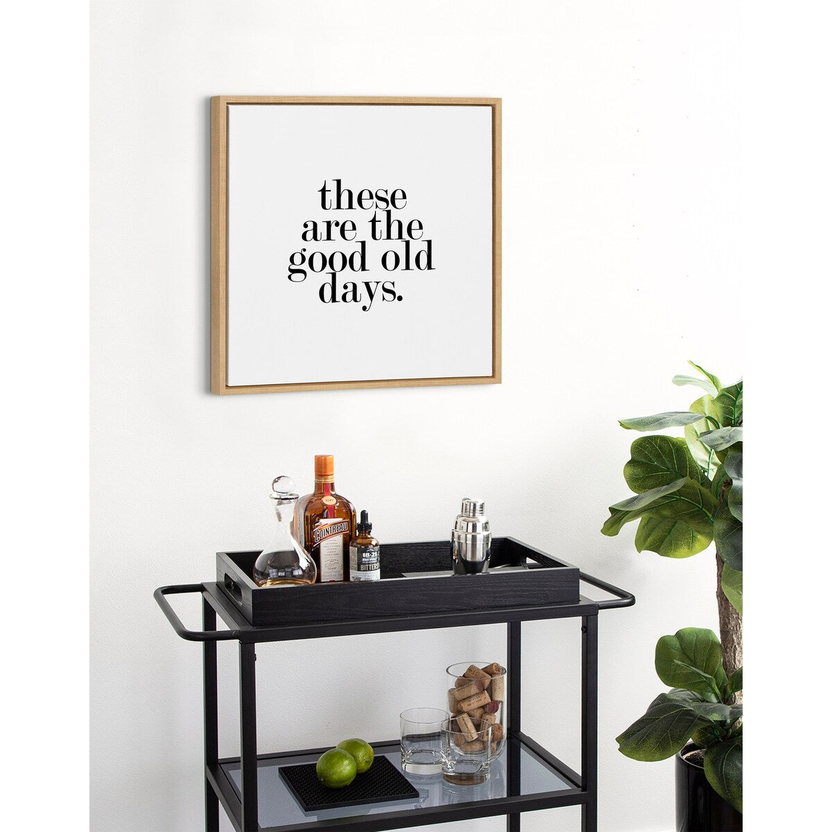 Kate and Laurel Sylvie Good Old Days Framed Canvas by Maggie Price of Hunt and Gather Good