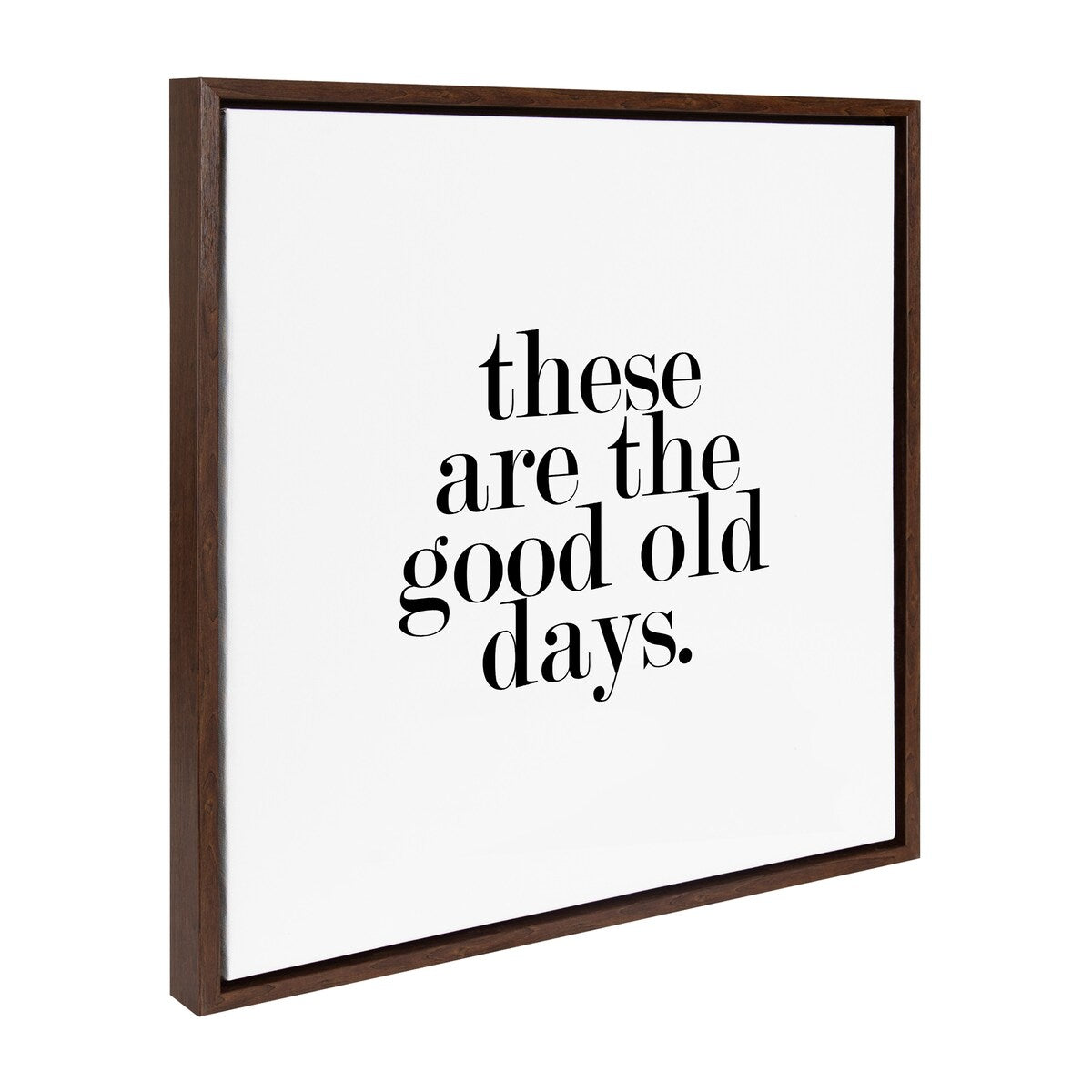 Kate and Laurel Sylvie Good Old Days Framed Canvas by Maggie Price of Hunt and Gather Good