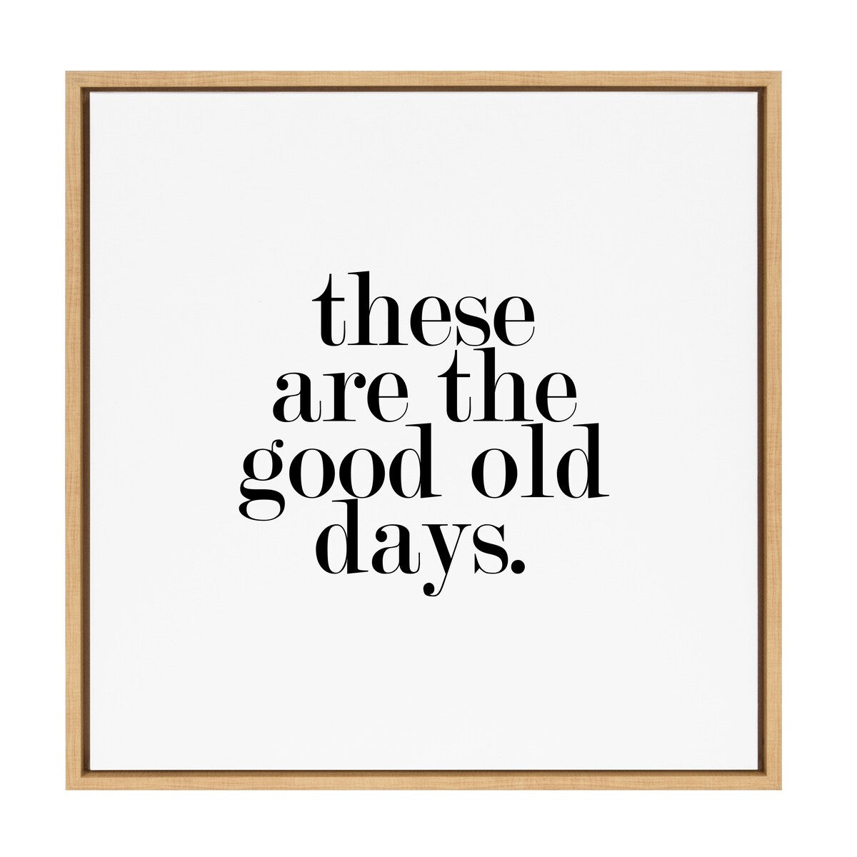 Kate and Laurel Sylvie Good Old Days Framed Canvas by Maggie Price of Hunt and Gather Good