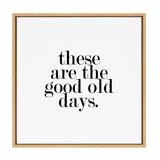 Kate and Laurel Sylvie Good Old Days Framed Canvas by Maggie Price of Hunt and Gather Good