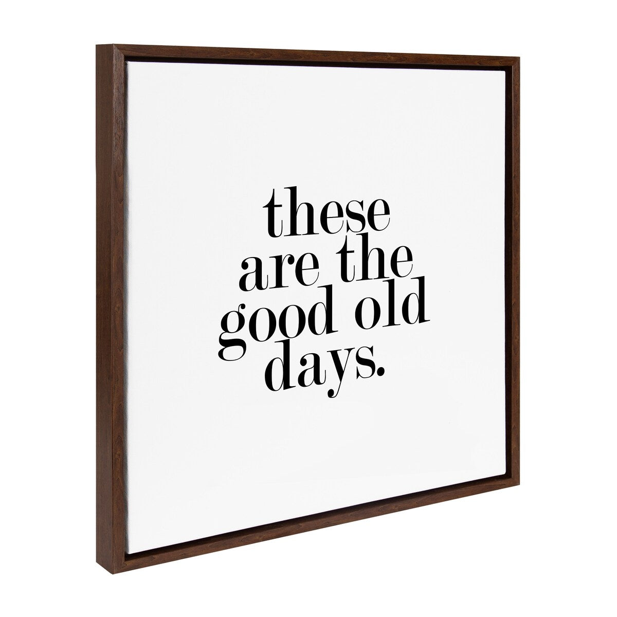 Kate and Laurel Sylvie Good Old Days Framed Canvas by Maggie Price of Hunt and Gather Good