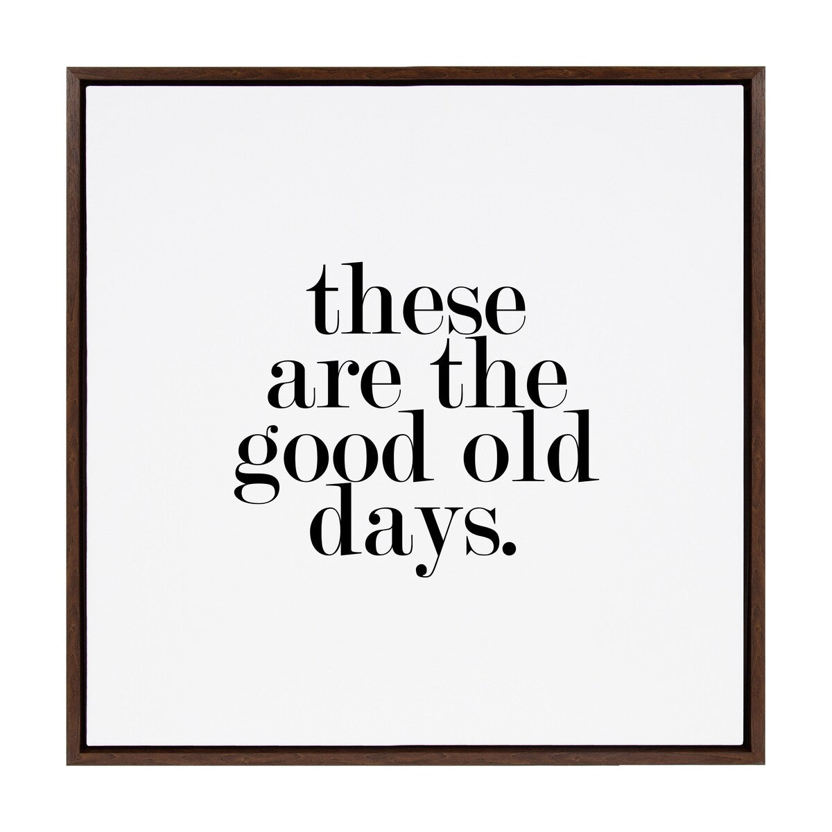 Kate and Laurel Sylvie Good Old Days Framed Canvas by Maggie Price of Hunt and Gather Good