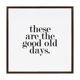 Kate and Laurel Sylvie Good Old Days Framed Canvas by Maggie Price of Hunt and Gather Good