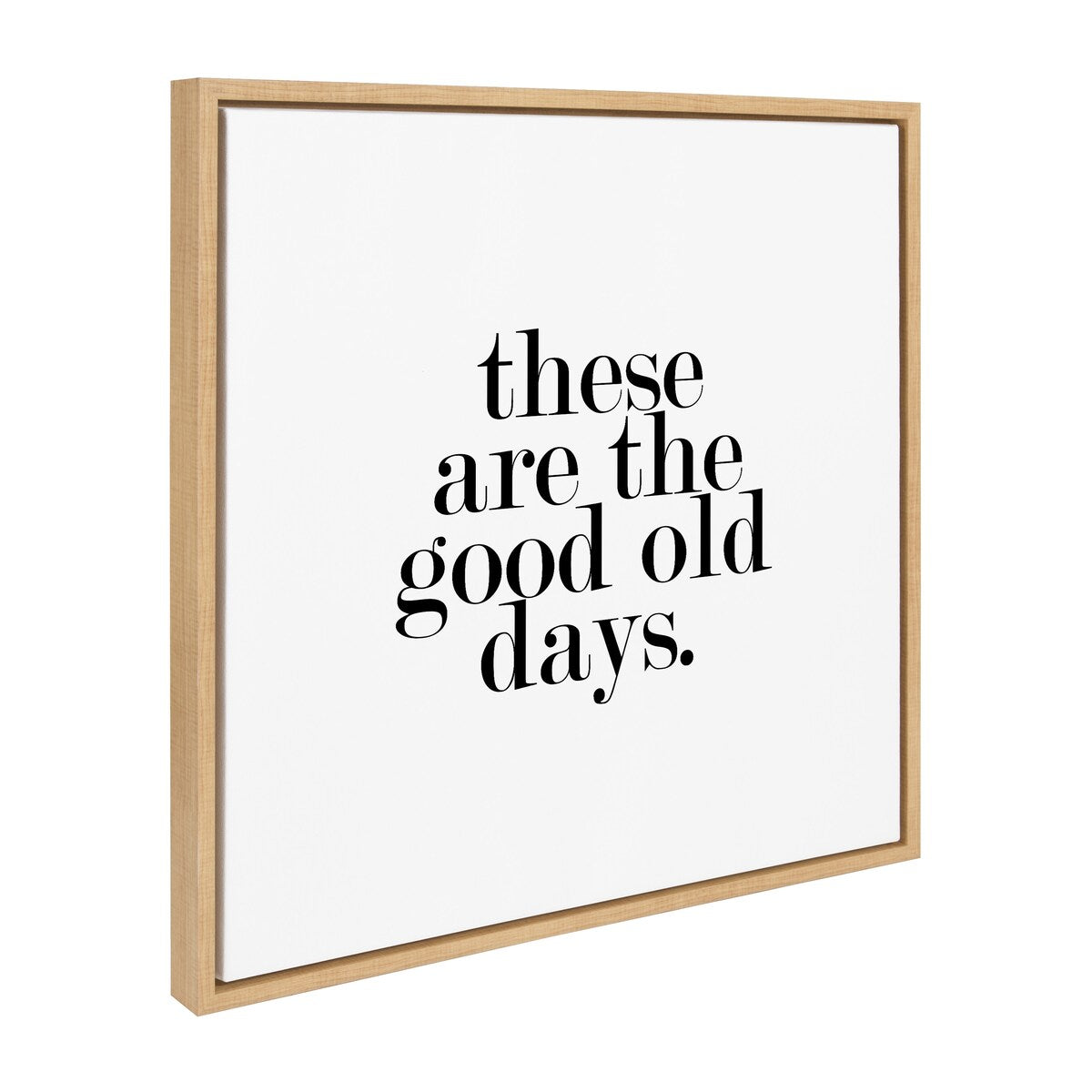 Kate and Laurel Sylvie Good Old Days Framed Canvas by Maggie Price of Hunt and Gather Good