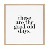 Kate and Laurel Sylvie Good Old Days Framed Canvas by Maggie Price of Hunt and Gather Good