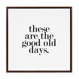 Kate and Laurel Sylvie Good Old Days Framed Canvas by Maggie Price of Hunt and Gather Good
