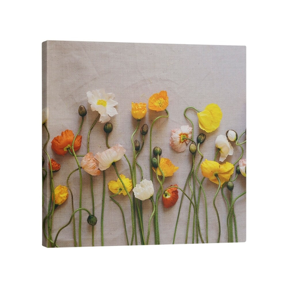 Katelyn Smith Dried Flowers Gallery-Wrapped Canvas - Multi-Color