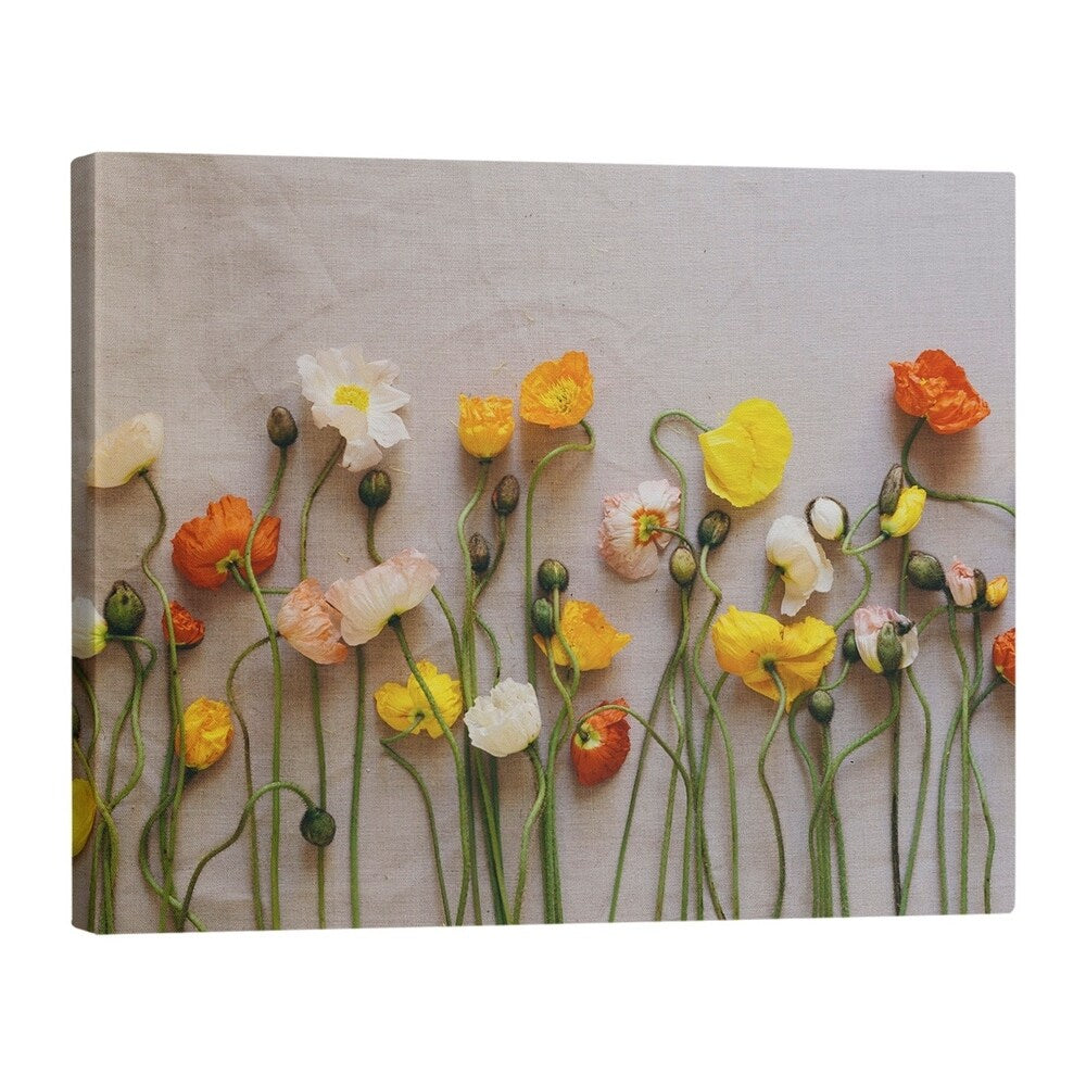 Katelyn Smith Dried Flowers Gallery-Wrapped Canvas - Multi-Color