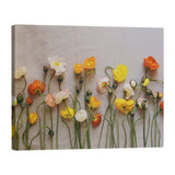 Katelyn Smith Dried Flowers Gallery-Wrapped Canvas - Multi-Color