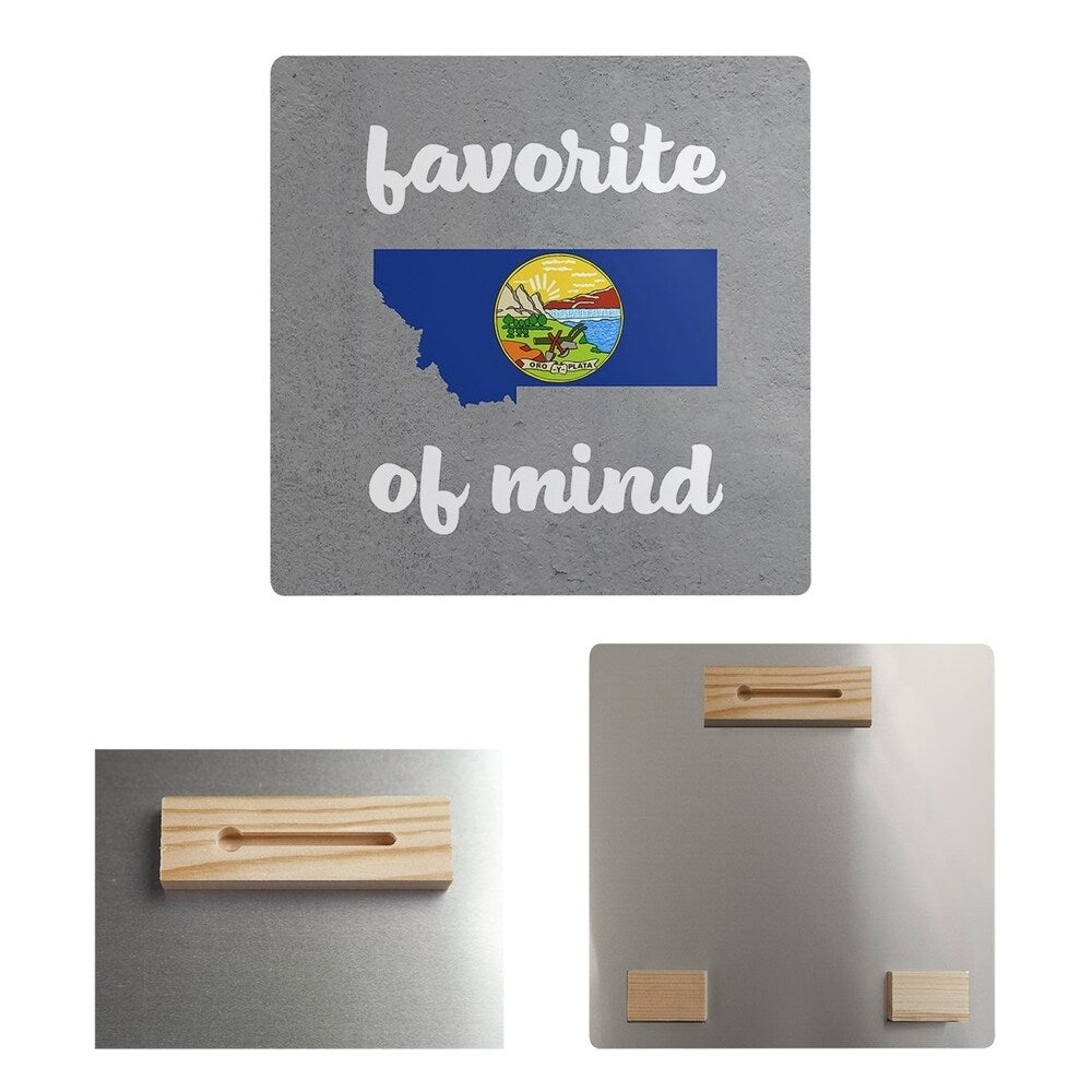 Katelyn Smith Montana State of Mind Metal Print