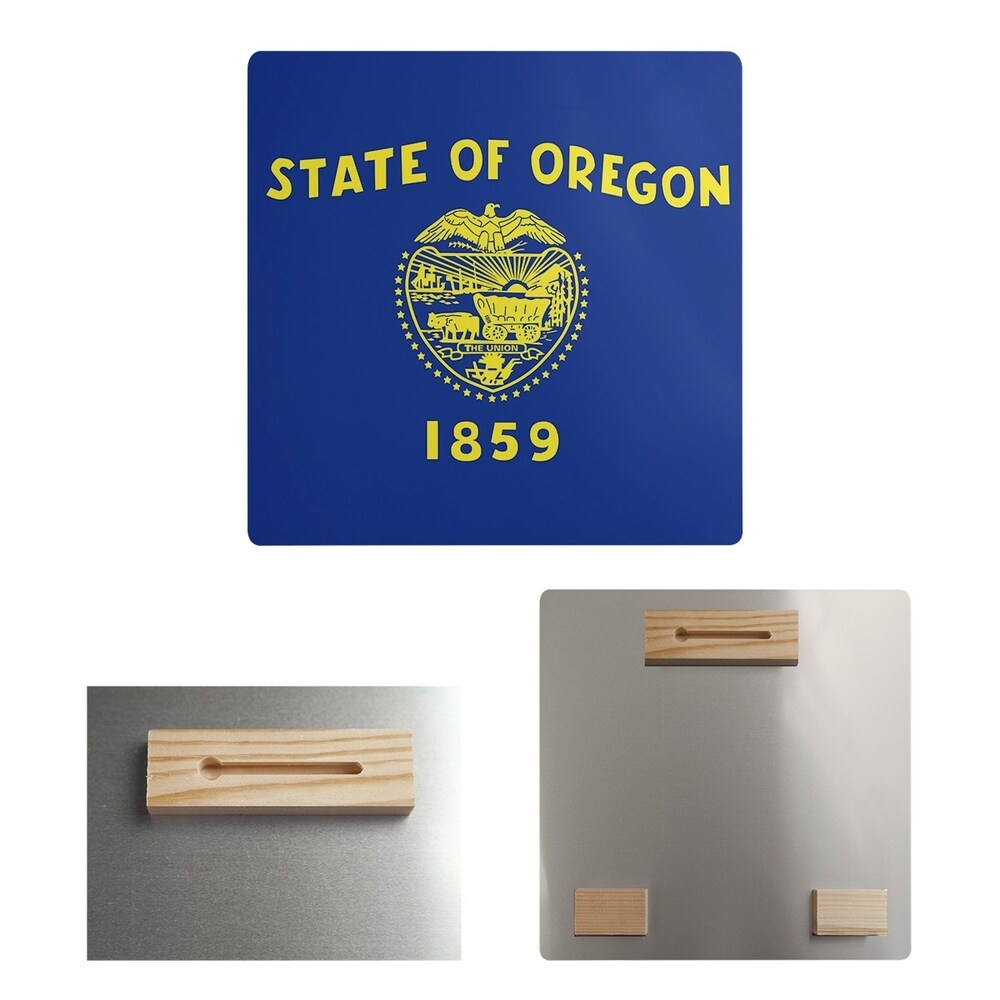 Katelyn Smith Oregon Flag Metal Print