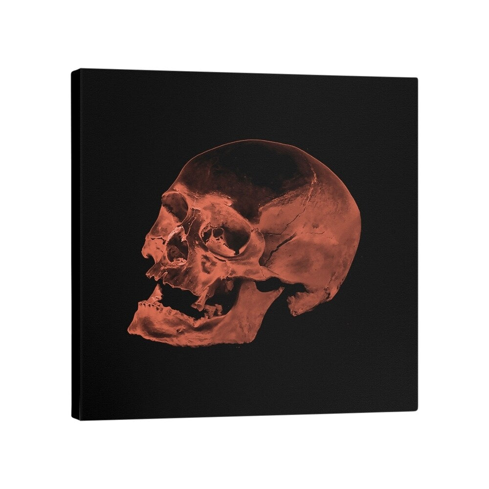 Katelyn Smith Red Skull Gallery-Wrapped Canvas - Black
