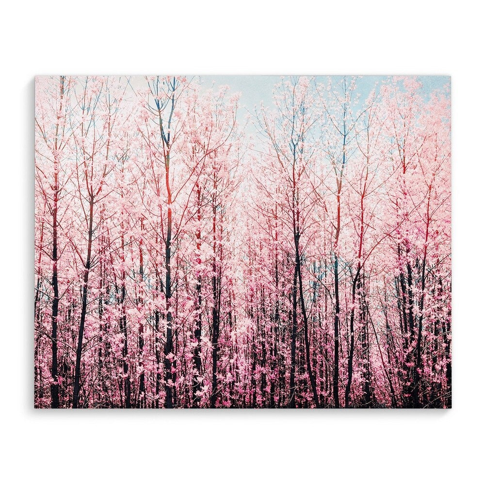 Kavka Designs Awash Pink/Brown/Blue Canvas Art