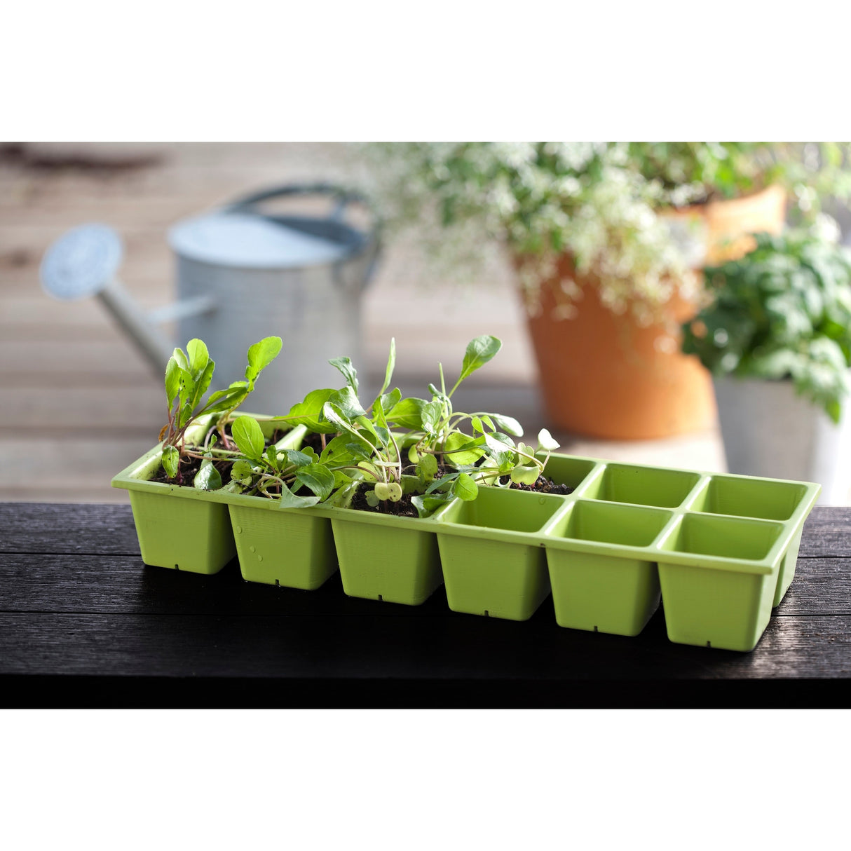Keter Urban Bloomer Flower Plant Planter Raised Elevated Garden Bed With Self Watering Feature
