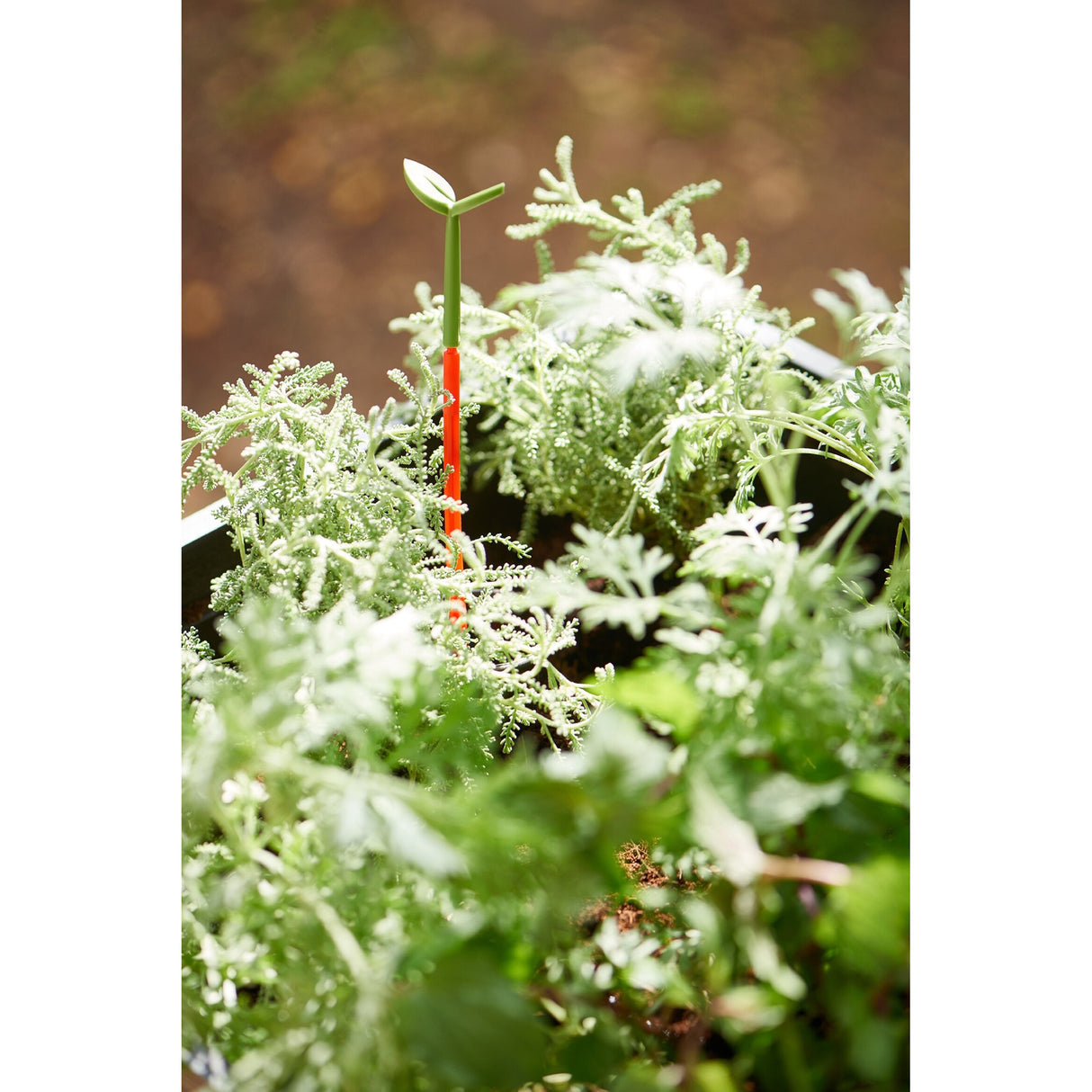 Keter Urban Bloomer Flower Plant Planter Raised Elevated Garden Bed With Self Watering Feature