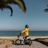 Kids Bike 14 inch for Boys & Girls with Training Wheels, Freestyle Kids' Bicycle with Bell,Basket and fender.
