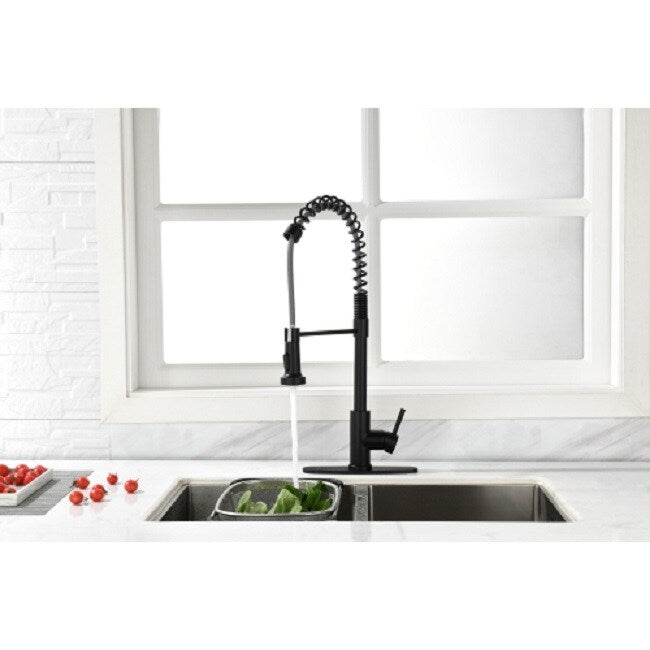 Kitchen Faucet with Pull Out Spraye