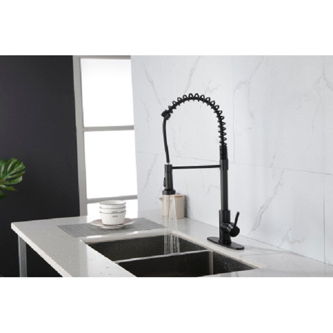 Kitchen Faucet with Pull Out Spraye
