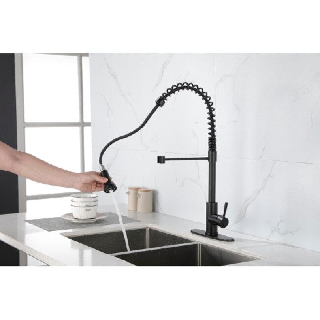 Kitchen Faucet with Pull Out Spraye
