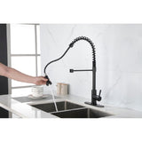 Kitchen Faucet with Pull Out Spraye